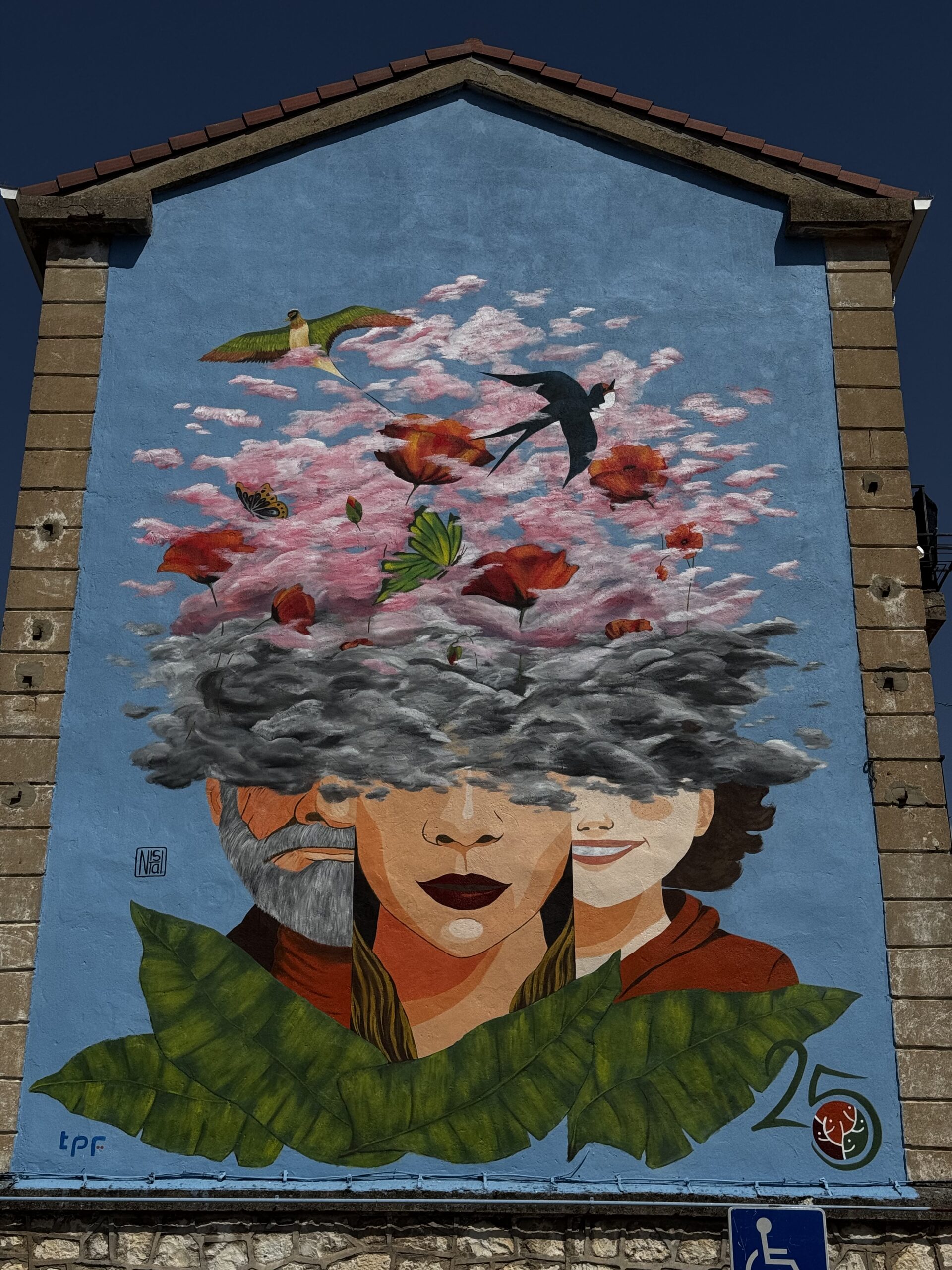 25 años de Salud Mental, Aranda de Duero